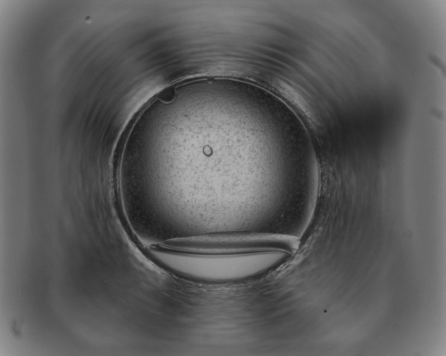 X0000091471087200708231333