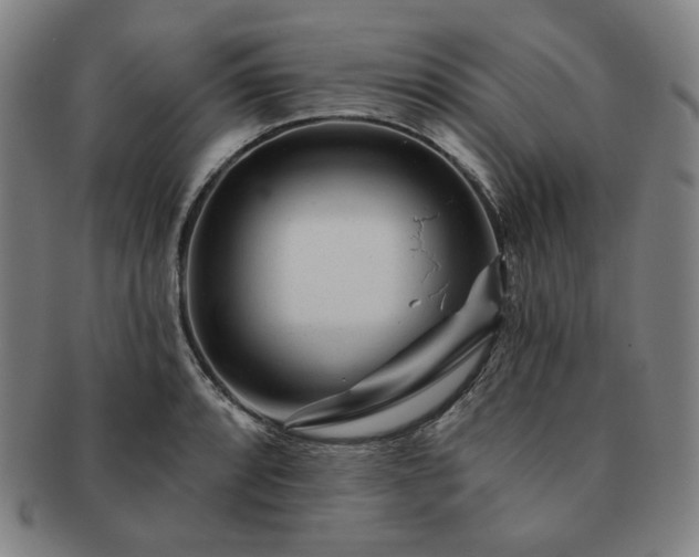 X0000091471088200708231333