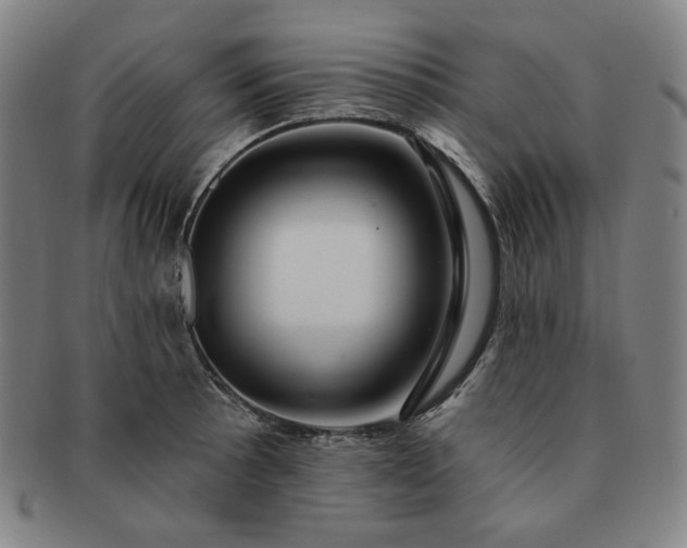 X0000091471089200708231333