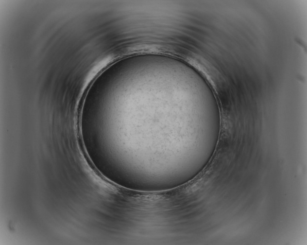 X0000091471090200708231333