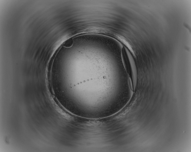 X0000091471091200708231333