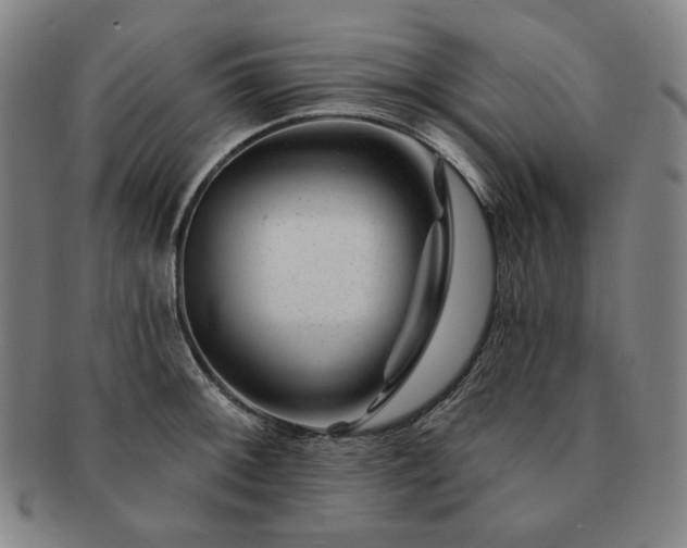 X0000091471092200708231333