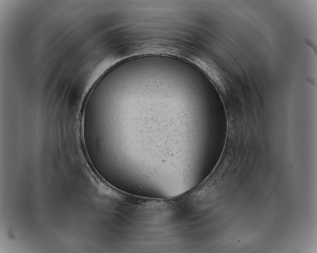 X0000091471094200708231333