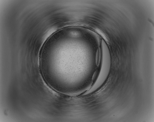 X0000091471095200708231333