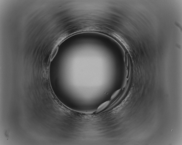 X0000091471097200708231333