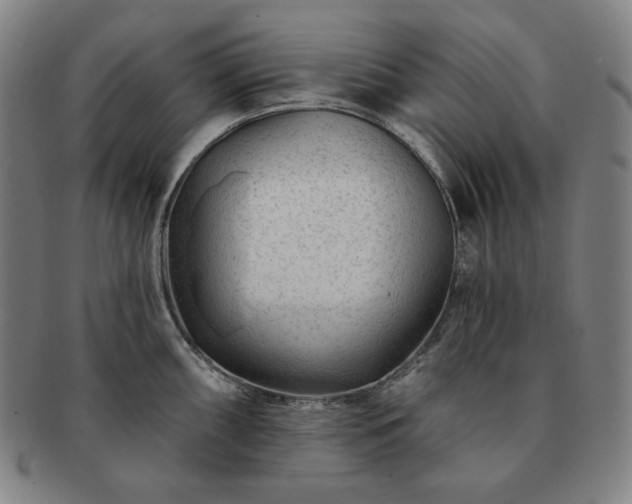 X0000091471098200708231333