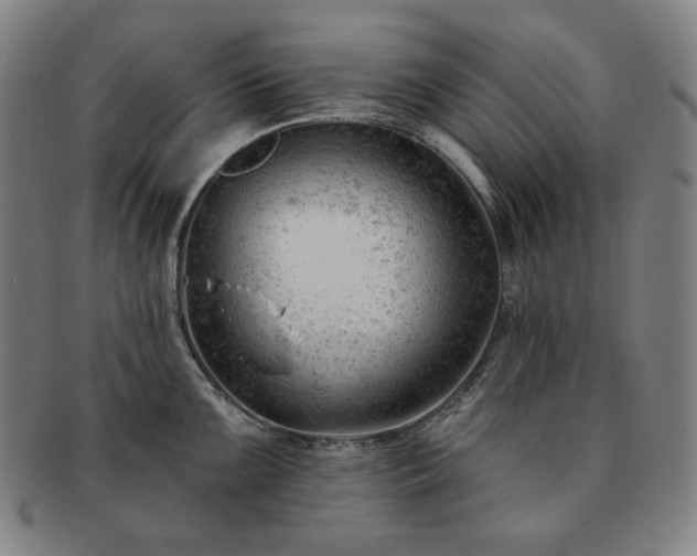 X0000091471099200708231333