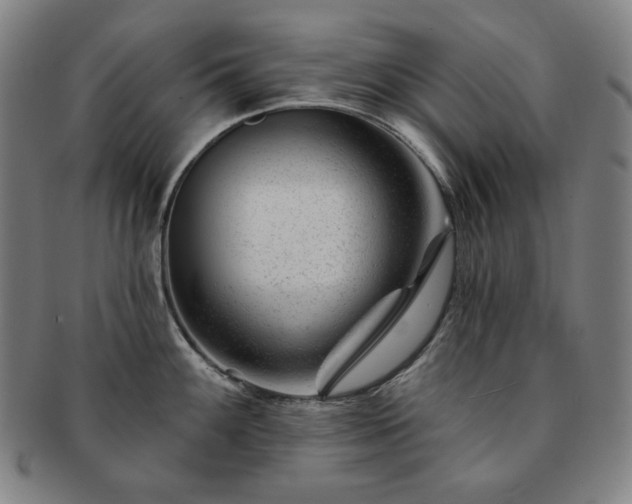 X0000091471100200708231333