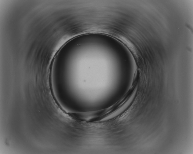 X0000091471102200708231333