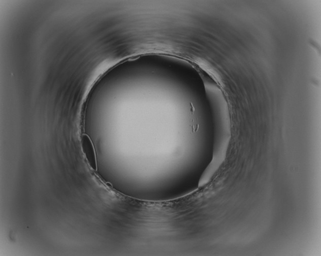 X0000091471104200708231333