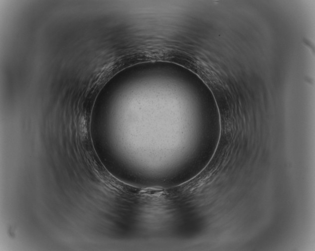 X0000091471106200708231332