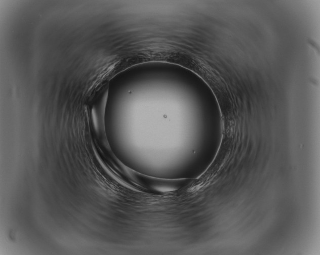 X0000091471108200708231332