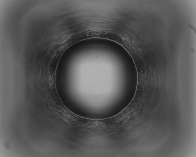 X0000091471109200708231332