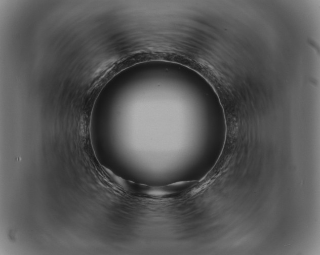 X0000091471110200708231332