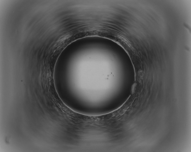 X0000091471111200708231332