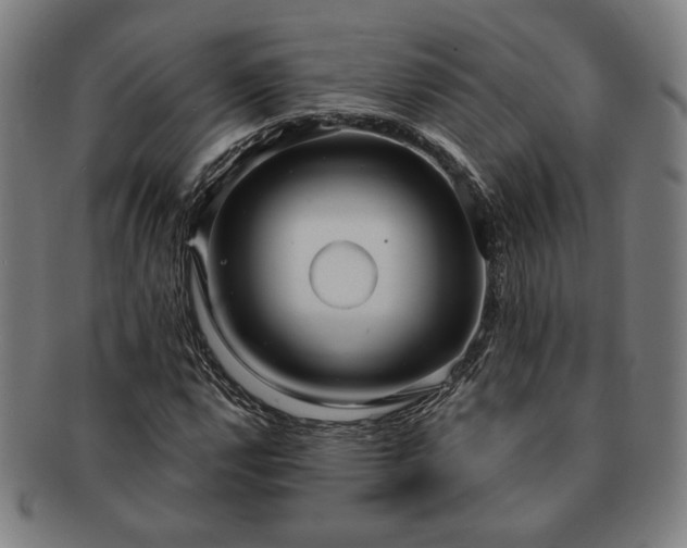 X0000091471112200708231332