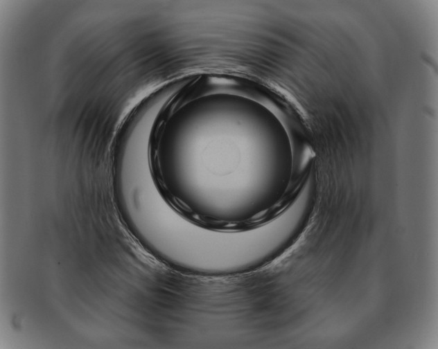 X0000091471114200708231332