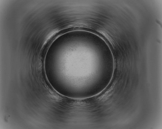 X0000091471115200708231332