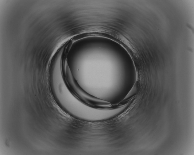 X0000091471116200708231332