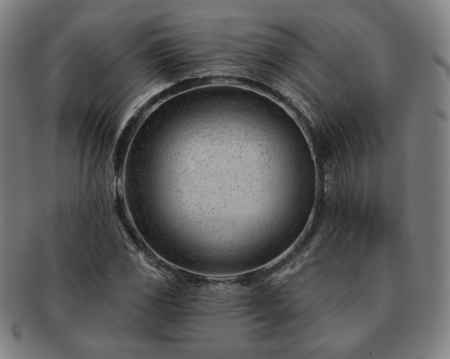 X0000091471117200708231332