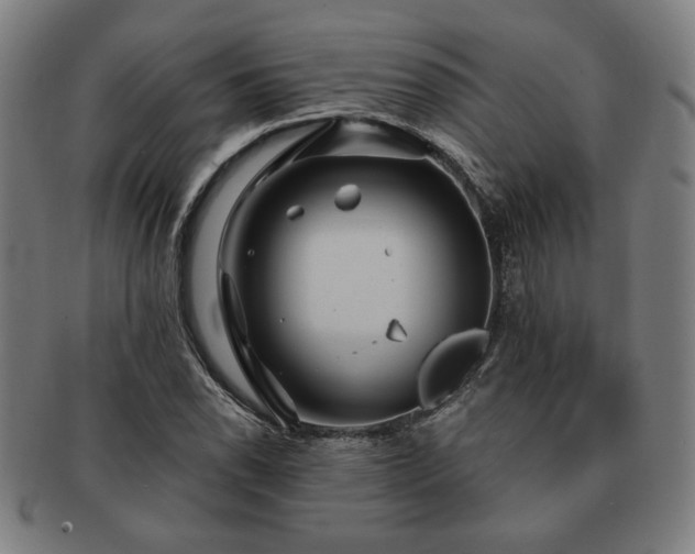 X0000091471118200708231332