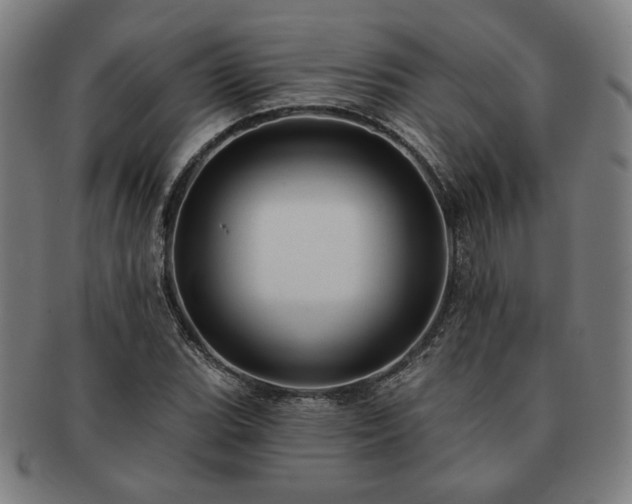 X0000091471119200708231332