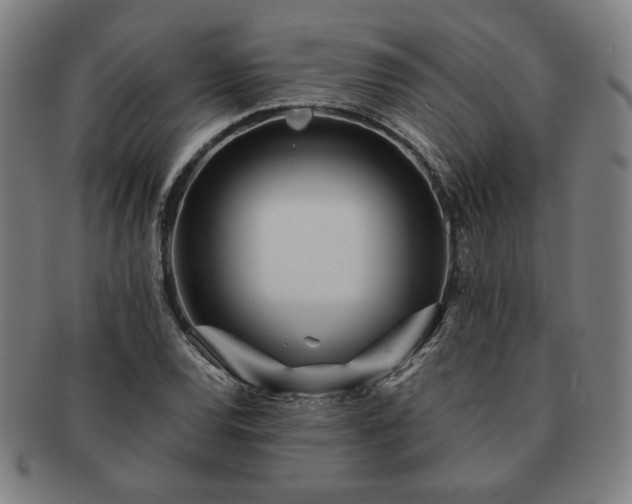 X0000091471120200708231332