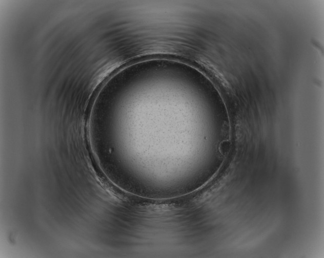 X0000091471121200708231332