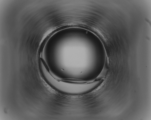 X0000091471122200708231332