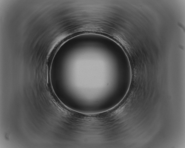 X0000091471123200708231332