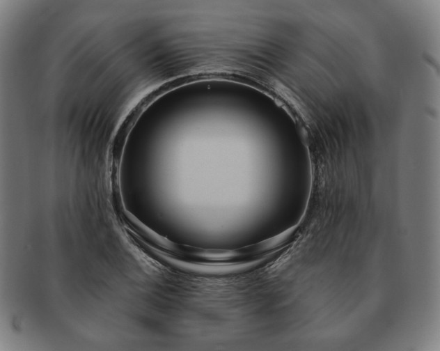 X0000091471124200708231332