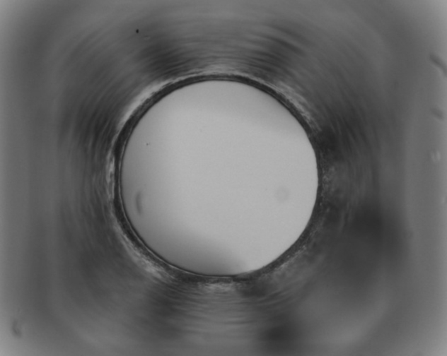 X0000091471126200708231332