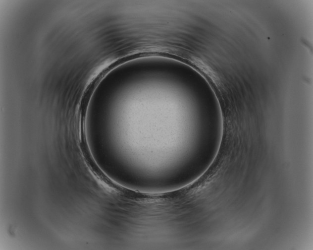 X0000091471127200708231332