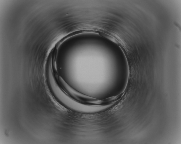 X0000091471128200708231332