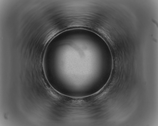 X0000091471129200708231332