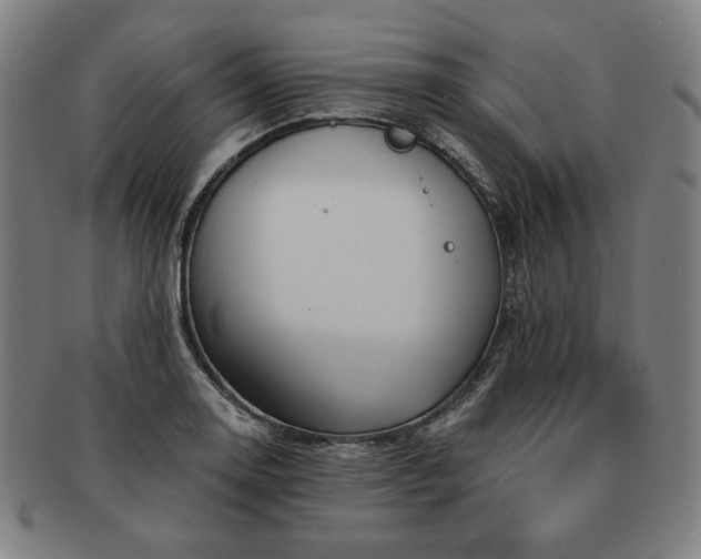 X0000091471130200708231332