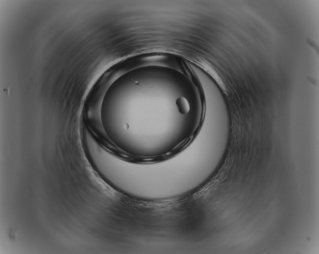 X0000091471132200708231332