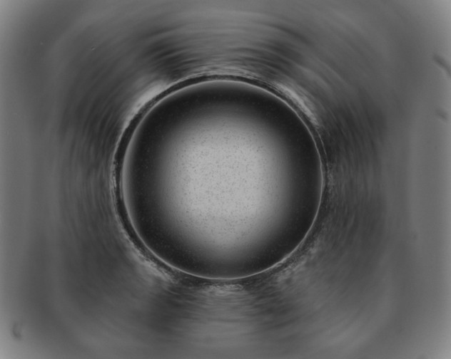 X0000091471133200708231332