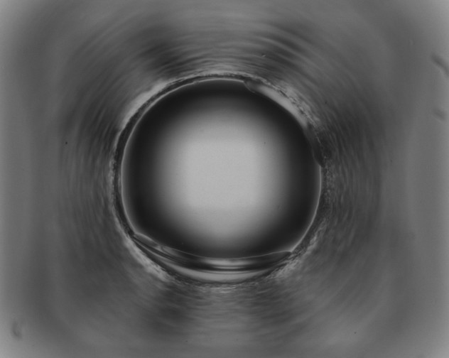 X0000091471134200708231332