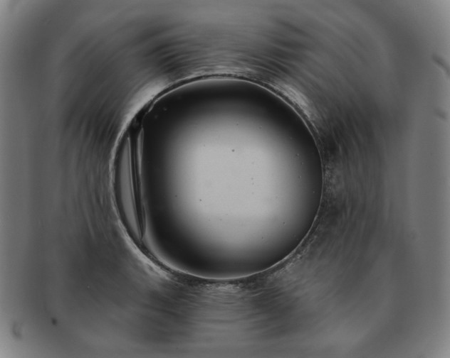 X0000091471135200708231332