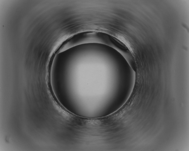 X0000091471136200708231332