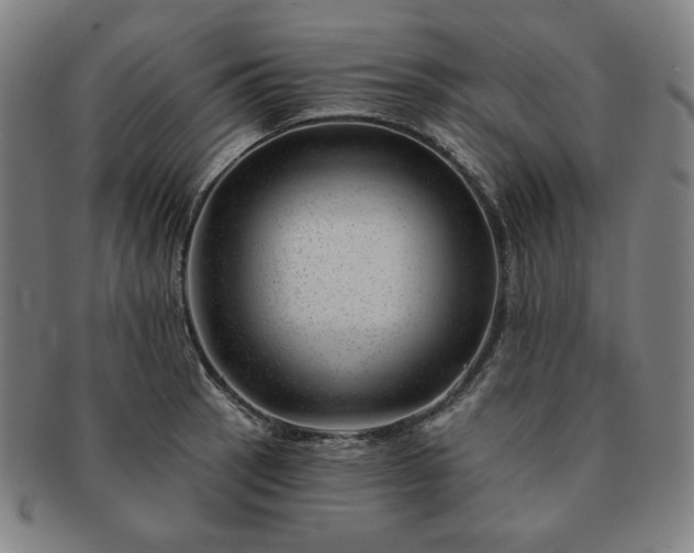 X0000091471137200708231332