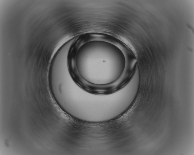 X0000091471138200708231332