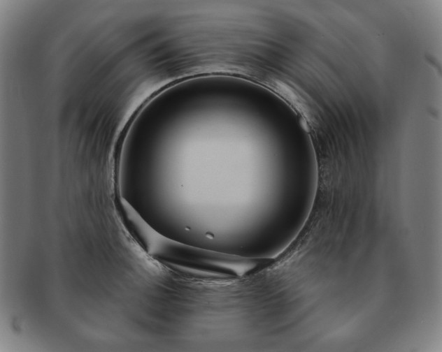 X0000091471140200708231332