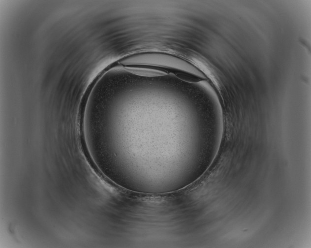 X0000091471141200708231332