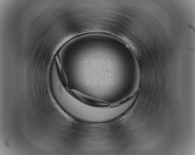 X0000091471142200708231332