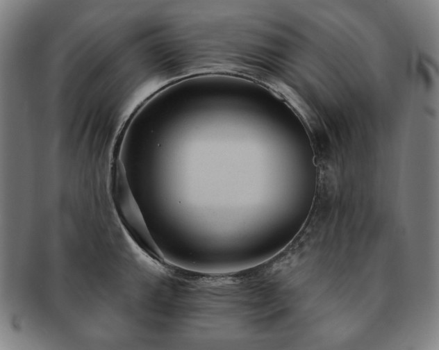 X0000091471143200708231332