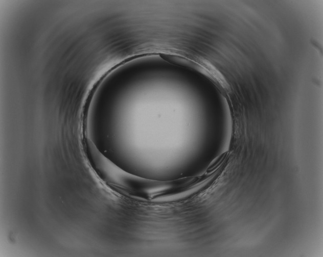 X0000091471144200708231332