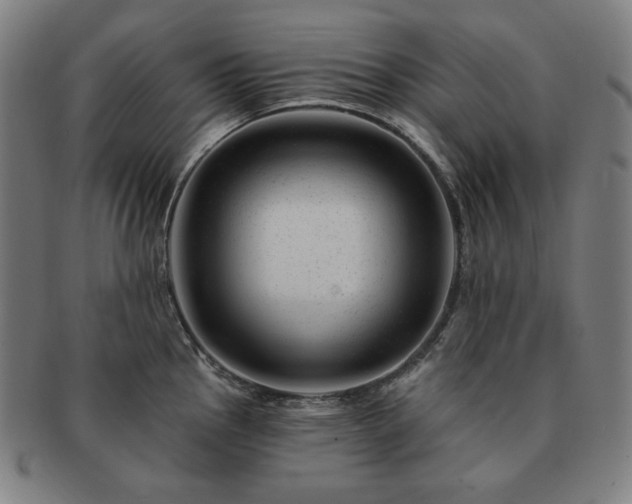 X0000091471145200708231333