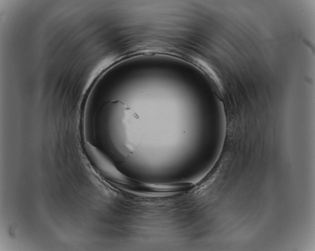 X0000091471146200708231333